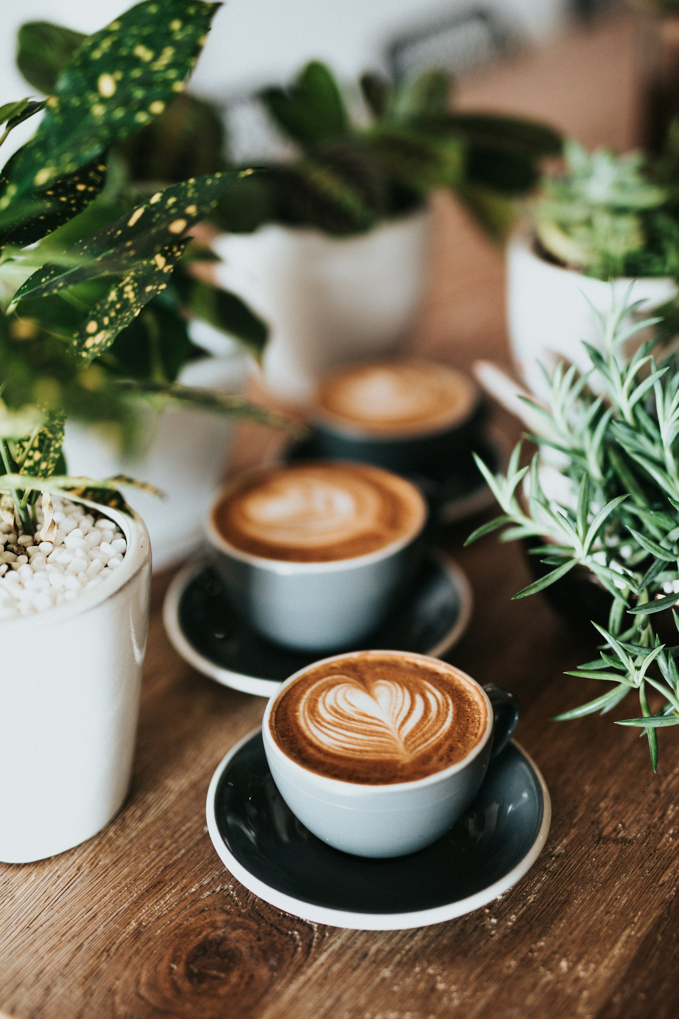 Artisan ceramic cups with latte art surrounded by lush cafe greenery