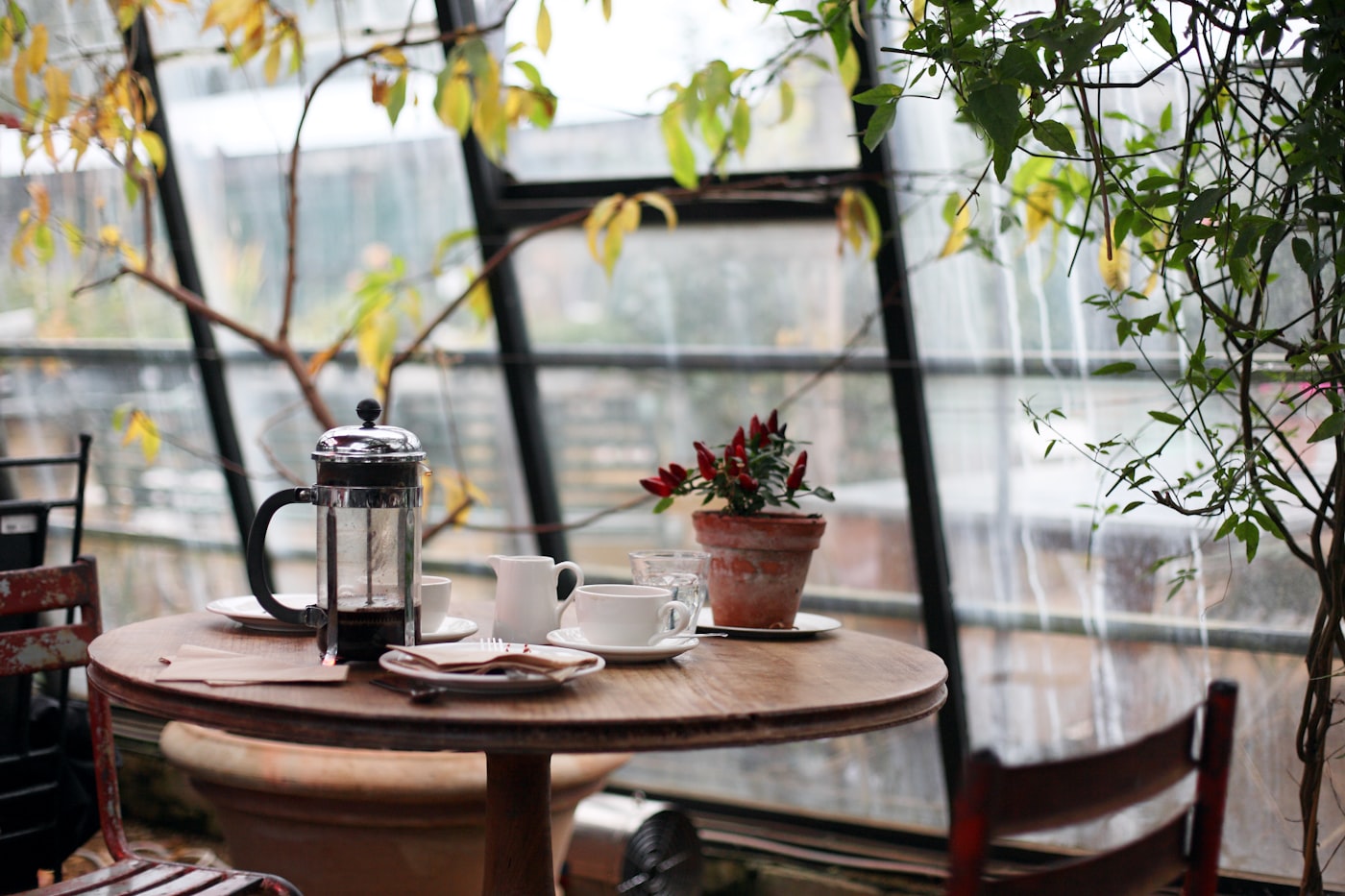 Sunny dog-friendly outdoor seating deck at BABY AFRO Coffee Bar