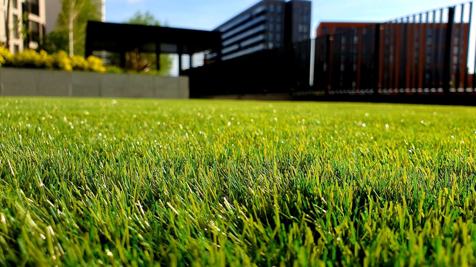 Healthy green lawn neatly cut and maintained