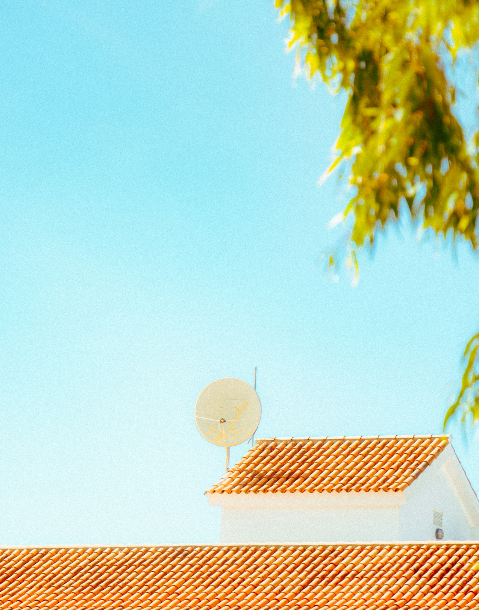Satellite dish installed cleanly on rooftop under sunny blue coastal sky