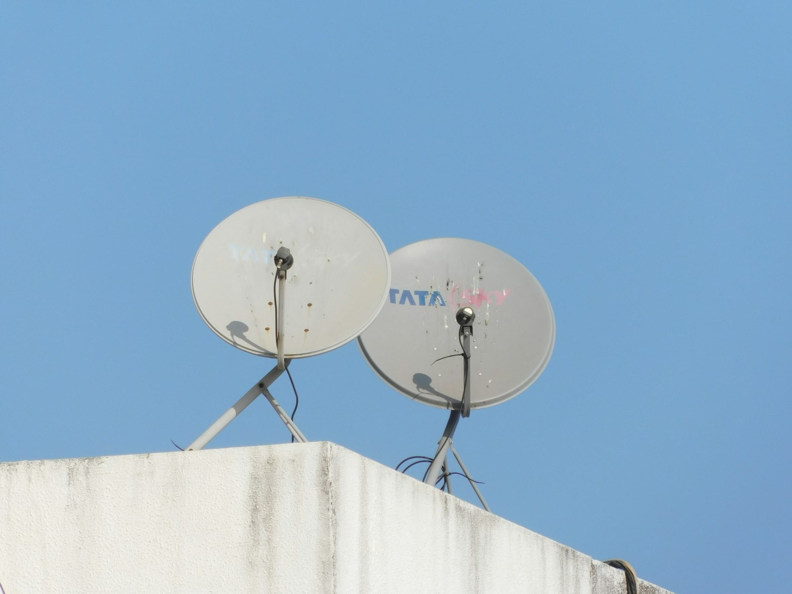 Rooftop TV satellite dishes aligned for strong reception